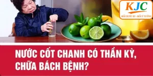 Tin Tức KJC – Cập Nhật Nhanh, Chính Xác Theo Từng Ngày - GATX.MOBI